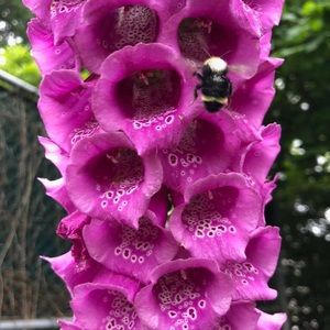 Meet your Posher, Mariah